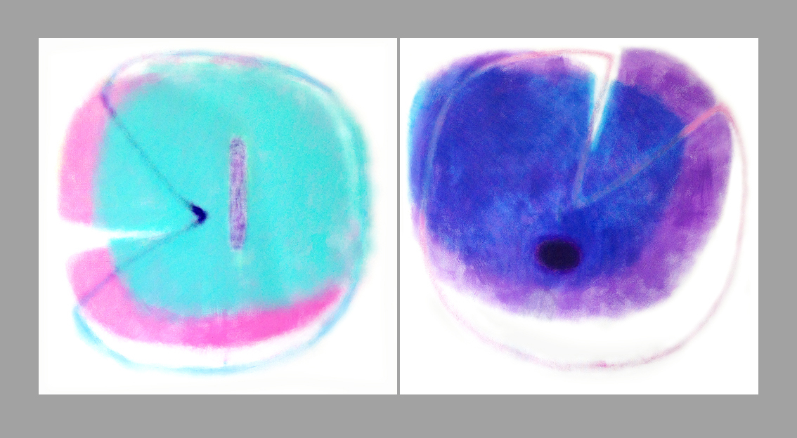 Bude přírodou II / Will Become Nature II